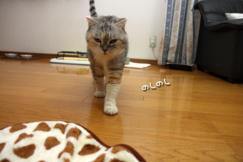 腰痛体操のおともは?_d0355333_19420448.jpg