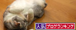 腰痛体操のおともは?_d0355333_19420630.jpg