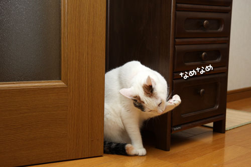 ドアの開け方_d0355333_19421919.jpg