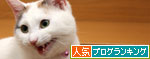 髪型談義?!_d0355333_19423268.jpg