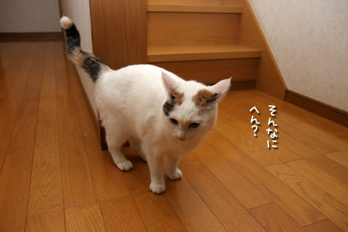髪型談義?!_d0355333_19423289.jpg