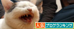ついに・・・!_d0355333_19424582.jpg