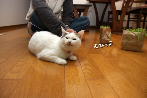 ついに・・・!_d0355333_19424750.jpg