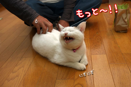 ついに・・・!_d0355333_19424779.jpg