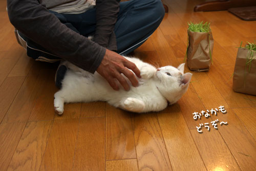 ついに・・・!_d0355333_19424797.jpg