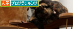 ねこのなる木にて_d0355333_19425487.jpg