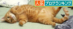 犯にゃんは誰だ!?_d0355333_19425515.jpg