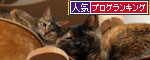 しなしな猫草初体験_d0355333_19425618.jpg