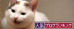 どんぶり食べたい_d0355333_19425789.jpg