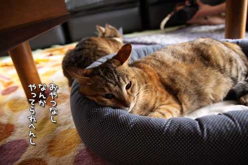 それぞれの接待技_d0355333_19430342.jpg