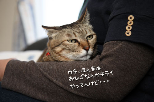 それぞれの接待技_d0355333_19430396.jpg