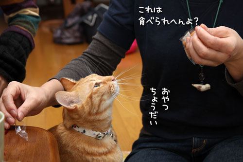 それぞれの接待技_d0355333_19430423.jpg