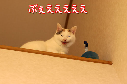 降りるの禁止!_d0355333_19430824.jpg