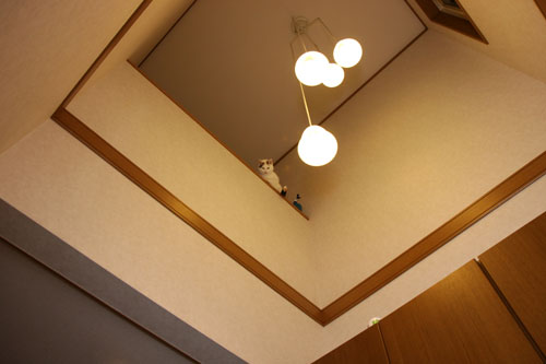 降りるの禁止!_d0355333_19430836.jpg