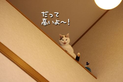 降りるの禁止!_d0355333_19430892.jpg