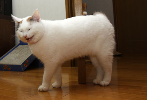 寒くなりました_d0355333_19430970.jpg