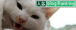 やどかり菜々子_d0355333_19431414.jpg
