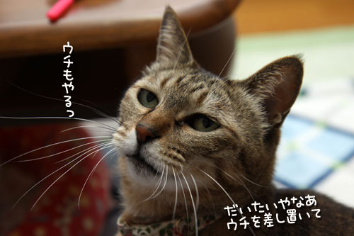みんなで!_d0355333_19431858.jpg