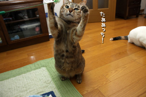 みんなで!_d0355333_19431937.jpg