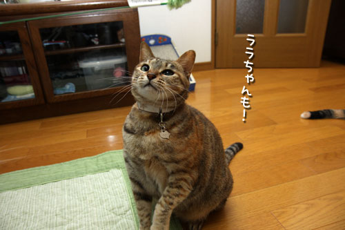 みんなで!_d0355333_19431960.jpg