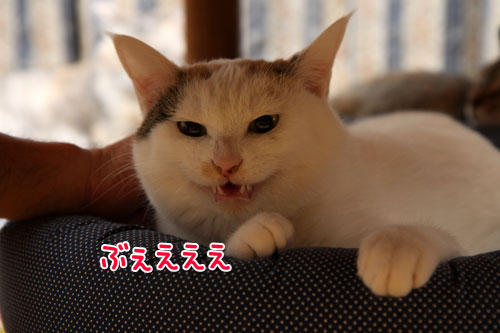 もう怖くないもんね!_d0355333_19432114.jpg