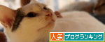 もう怖くないもんね!_d0355333_19432149.jpg