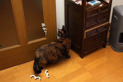 ドアの見張り番_d0355333_19432505.jpg