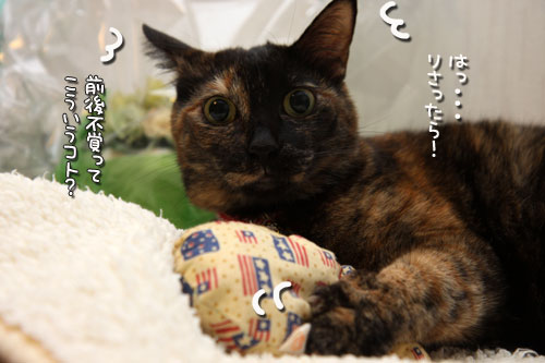 魅惑のキッカー_d0355333_19432614.jpg
