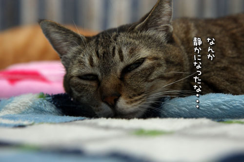 忘れられない日が通りすぎて_d0355333_19432792.jpg
