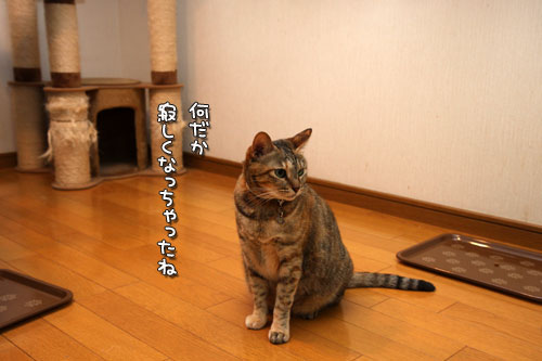 忘れられない日が通りすぎて_d0355333_19432838.jpg