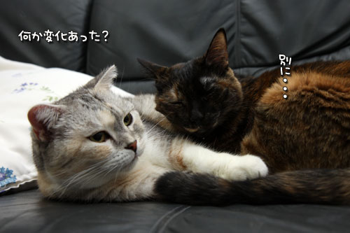 忘れられない日が通りすぎて_d0355333_19432890.jpg
