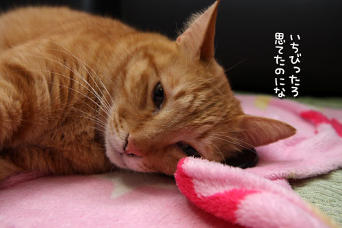 忘れられない日が通りすぎて_d0355333_19432964.jpg