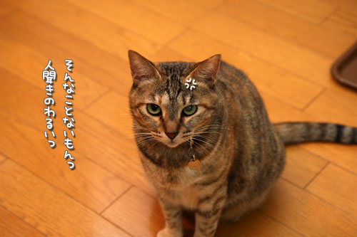 忘れられない日が通りすぎて_d0355333_19432970.jpg