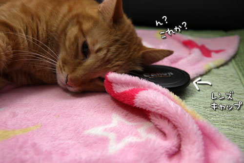 忘れられない日が通りすぎて_d0355333_19433059.jpg