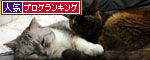 忘れられない日が通りすぎて_d0355333_19433189.jpg