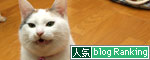 無事、任務終了&伝えたいこと_d0355333_19433347.jpg