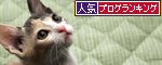 ハルナツ近況報告_d0355333_19433624.jpg