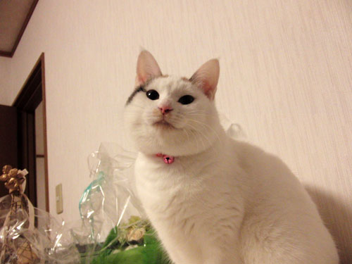 優等生!_d0355333_19433694.jpg