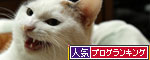 菜々子便り_d0355333_19434587.jpg