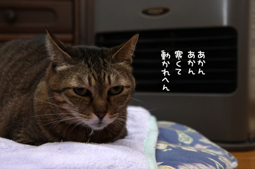 ヒーター前占拠!_d0355333_19434683.jpg