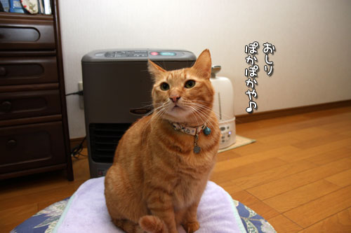 ヒーター前占拠!_d0355333_19434692.jpg