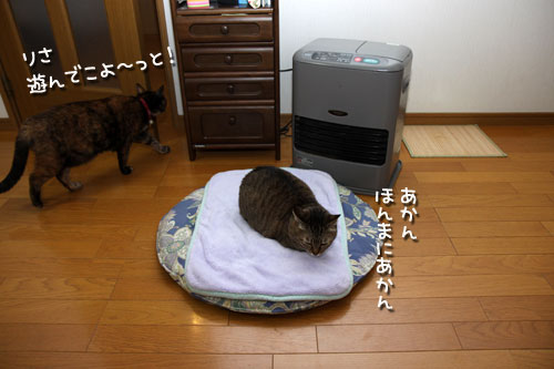 ヒーター前占拠!_d0355333_19434706.jpg