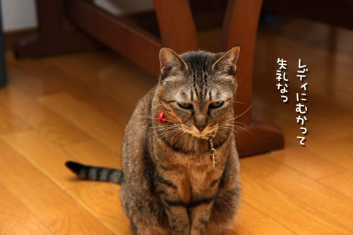 全員で健康診断_d0355333_19435147.jpg