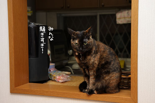 全員で健康診断_d0355333_19435207.jpg
