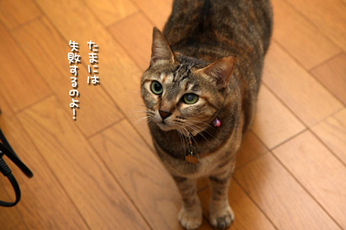 全員で健康診断_d0355333_19435287.jpg