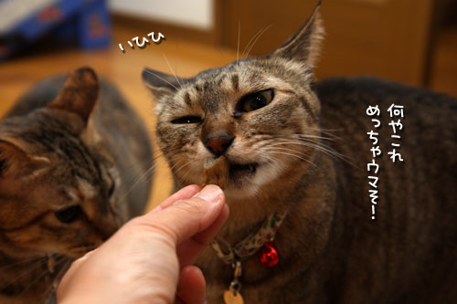頑張ったご褒美に。_d0355333_19435488.jpg