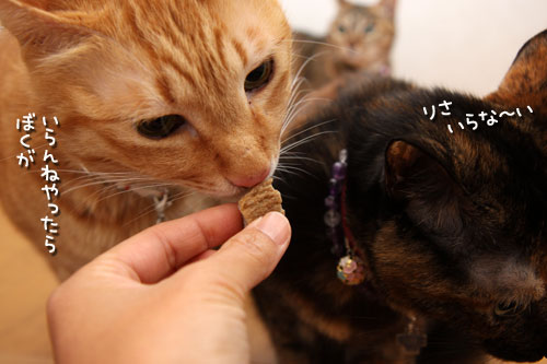 頑張ったご褒美に。_d0355333_19435590.jpg