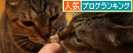 頑張ったご褒美に。_d0355333_19435596.jpg
