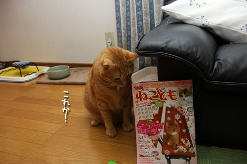 ねことも!_d0355333_19435734.jpg