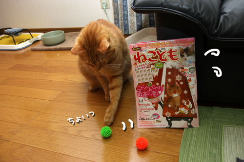 ねことも!_d0355333_19435835.jpg